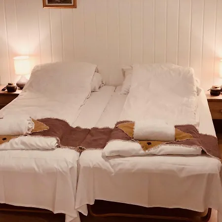 Hotel Voss Fjell 3*